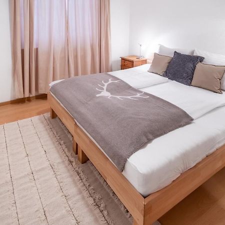 Schmitten & Cityxpress Apartment 1 And 2 Zell am See Dış mekan fotoğraf