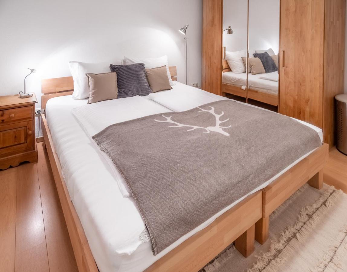 Schmitten & Cityxpress Apartment 1 And 2 Zell am See Dış mekan fotoğraf