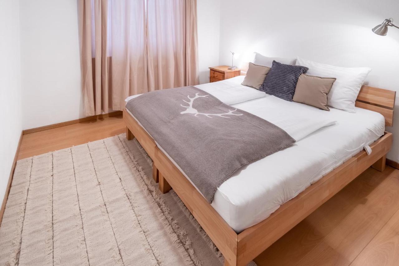 Schmitten & Cityxpress Apartment 1 And 2 Zell am See Dış mekan fotoğraf